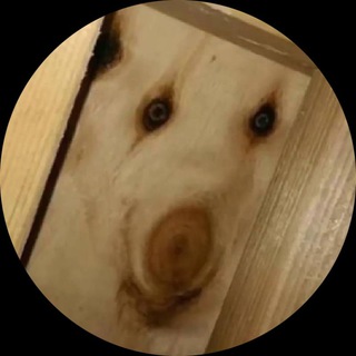 Логотип телеграм канала @funbysap — Fun Смех Лучшее