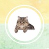 Логотип телеграм канала @funcorne — Весёлый уголок