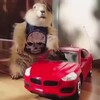 Логотип телеграм канала @fundraising_ru — Победа 🇷🇺💸