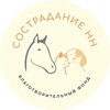 Логотип телеграм канала @fundsostradanienn — БФ СостраданиеНН🐾