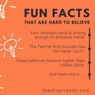 Telegram kanalining logotibi funfact9 — FUN FACTS