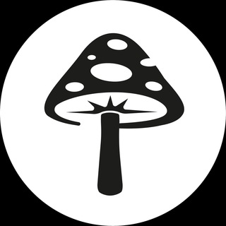 Логотип телеграм канала @fungiline_moscow — 🍄 FUNGILINE Грибной канал М.Вишневского 🌱