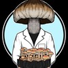 Logo of telegram channel funguymycology — Funguymycology