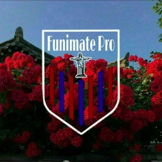 Telegram kanalining logotibi funimate_pro_usa — Funimate_pro_usa🐊