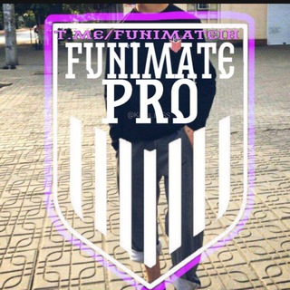 Логотип телеграм канала @funimatein — FUNIMATE_PRO