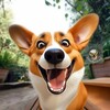 Логотип телеграм канала @funkorgi — Приколы Корги 🧨