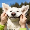 Логотип телеграм канала @funmement — Забавный момент