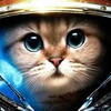 Логотип телеграм канала @funny_fools — Веселые дураки🤗