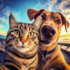 Логотип телеграм канала @funny_tail — Забавные животные