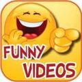 Logo saluran telegram funny_videos_10 — Funny Videos
