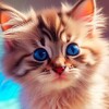 Логотип телеграм канала @funnycatsandcats — Усатый друг. Все о котах и кошках