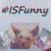 Логотип телеграм канала @funnyfoolpic — #ISFunny