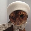 Логотип телеграм канала @funnykittyc — Смешно шутим