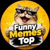 Logo of telegram channel funnymemestop — Funny Memes Hub | Viral Videos & Pics