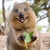 Логотип телеграм канала @funyanim — Веселые зверушки