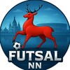 Логотип телеграм канала @futsalnn — FUTSAL_NN ⚽️🦌