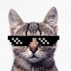 Logo of telegram channel fuunnyyyfuunn — Funny Fun