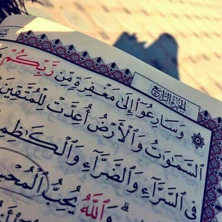 Telgraf kanalının logosu fuwaad — فوائد يومية