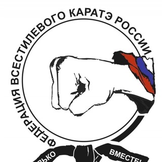 Логотип телеграм канала @fvkr_official — Федерация всестилевого каратэ России