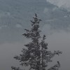 Логотип телеграм канала @fwdropie — Fwdropie
