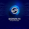 Logo of telegram channel fxbigpapa — BIGPAPA FX