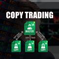 Logo saluran telegram fxcopytrading — Forex Copy Trading