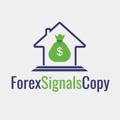 Telegram kanalining logotibi fxsignalscopy — ForexSignalsCopy