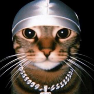 Telegram channel фуз logo