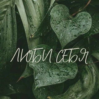 Логотип телеграм канала @g1lmory — ✧ . !! ° beautiful stars °. 𖦹 ❄️