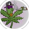 Logo of telegram channel g69smoke — g69smoke4📍