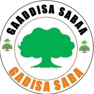 Logo saluran telegram gaaddisa_sabaa1 — GAADDISA SABAA