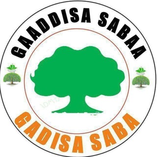 Telegram channel GAADDISA SABAA logo