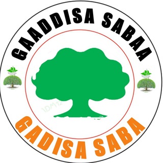 Logo of telegram channel gaaddisa_sabaa12 — GAADDISA SABAA