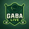 Логотип телеграм канала @gaba_live — Gaba Live 🟢🏒