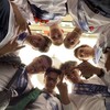 Логотип телеграм канала @gachiyanos — гачи янос