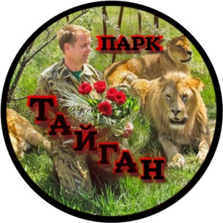 Telegram channel Гадалка logo