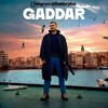 لوگوی کانال تلگرام gaddarplus — بی رحم | Gaddar