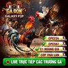 Logo of telegram channel gadondinhcao — THÔNG TIN TRƯỜNG GÀ TỔNG HỢP