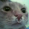 Логотип телеграм канала @gagaaaaas — piercing heals the soul