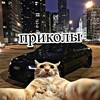 Telegram channel Мемы, кружки, приколы logo