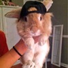 Логотип телеграм канала @gaid_kr — ТРЕКИ ИЗ ТТ