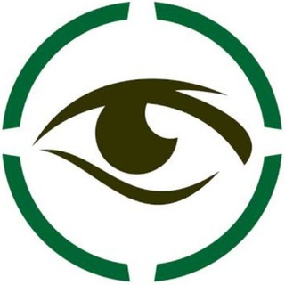 Logo of telegram channel gainzloz — THE VISIONARIES