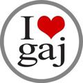 لوگوی کانال تلگرام gajtabriz — گاج | اساتید شریف