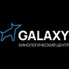 Логотип телеграм канала @galaxyhallfordog — «GALAXY»