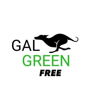 Logotipo do canal de telegrama galgreen - Galgo TIPS FREE