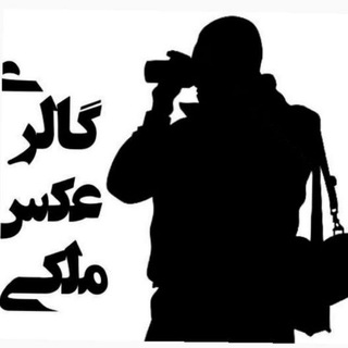 لوگوی کانال تلگرام gallerymalekii — گالری عکس خبری و طبیعت 📸