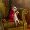 Логотип телеграм канала @gamedaystories — Истории игрового дня