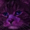 Логотип телеграм канала @gamedevkoti — Геймдев и коты думеры