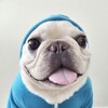 Логотип телеграм канала @gamehome_gg — sabsab