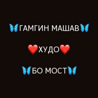 Telegram channel 🦋ГАМГИН МАШАВ ХУДО БО МОСТ🦋 logo
